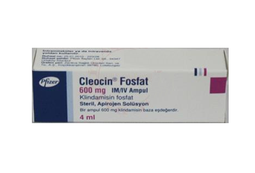 CLEOCIN FOSFAT 600 MG IM/IV 1 AMPUL